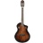 Ortega TourPlayer RTPDLX-ACA