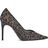 Steve Madden Raz - Leopard