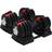 Centurion Supports Strongology Element 18 Dumbbell Pair