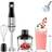 Yashe 5 in 1 Handheld Blender
