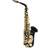 Elkhart 100AS Student Alto Saxophone
