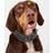 Joules Navy Leather Collar Large