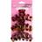 Brushworks Tortoiseshell Claw Clips Set