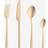 Amefa Manille 16-dels Vintage Champagne Bestickset 16st