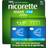 Nicorette Mint 4mg 160 st Sugtablett