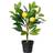 Everlands Decorative Plastic Lemon Tree 17x24x43 cm Artificial Plant