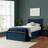 Birlea Phoenix Single Ottoman with Mattress - Navy Frame Bed