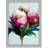 ARTERY8 Pink/Grey/White Peony Flowers Framed Art 21x29.7cm