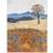 ARTERY8 Colorado Countryside Multicolour Wall Decor 45.7x61cm