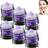 Homomdy Teeth Restoring Powder For Teeth Whitening 6-pack