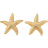 Shein pair Minimalist Starfish Design Earrings Fashion SeaThemed Jewelry For Women