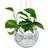 MikaMax Funky Disco Planter Urtepotte Krukke