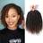 Shein Passion Twist Crochet Hair 8/10Inch 12Roots T30 Passion Twist