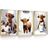 Shein pcsSet Scottish Highland Cow Funny Animal Humor Highland Cow Enthusiast Natural Poster 20x30cm 3pcs