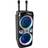 Ibiza Columba-Karaoke Bluetooth Karaoke Speaker