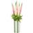 Argos Home Pink & Green Stocks in Ceramic Vase Artificial Plant