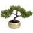 Argos Home Bonsai Tree in Ceramic Glaze Pot Artificial Plant