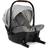 Joie Sprint Oyster