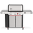 Weber Genesis SP-335W Gasgrill
