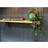 Sienna X Self Watering Plant Pot One Size Green & Blue