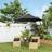 OutSunny Offset Roma Patio Umbrella 2.5M Black