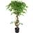 Leaf 60cm White Rose Purple Starflower Display Glass Vase