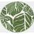 OHS Dreamscene Palm Garden Green, White 170cm