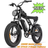 Ridstar Q20 Mini Electric Bike 20 inch Tires 1000W Motor 48V 15Ah B