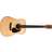 Eastman E8D