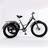 24 Inch Adult Tricycle 7 Speed Cruiser Trike
