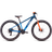 Cube Acid 260 Disc