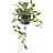 House Nordic Voksblomst H33 cm Grøn Kunstig plante