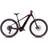Cube Reaction Hybrid SLT 800Wh Electric Mountain Bike