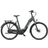 Batavus Altura Power Pro