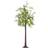 Homcom Olive Light 180cm with 300 Warm White LED Christmas Tree