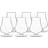 Luigi Bormioli Tentazioni Romglas Tester 6 St 23cl Whiskyglas 23cl 6st