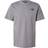 The North Face Men’s Redbox Celebration T-shirt - Smoked Pearl