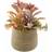 Dunelm Churchgate Flocked Succulent Garden Artificial Plant