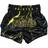 Fairtex Fairtex Muay Thai Fight Shorts Black