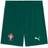 Puma Men's Portugal Hemmashorts XL