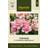 Impecta Lejongap F1 DoubleShot Appleblossom
