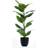 Scottish Everlastings Real Touch Rubber Tree Artificial Plant