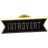 Shein Pc Cute Introvert Sign Brooch Enamel Pin For Introvert Person