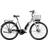 Ecoride Ambassador AXS M-5 E5 M/L Silver 2023 Unisex