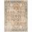 Fernleaf Saylor Power Light Grey/Blue/Cream Blue, Beige, Gold 160x213cm