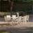 Pacific Lifestyle Aruba Outdoor 6 Seater 170 cm Beige Patio Dining Set