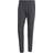 adidas FC Bayern Tiro 25 Competition Vis Tech Travel Pants