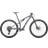 Specialized Epic 8 Comp Gloss Ashen Gray