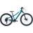 Scott Roxter 400 24" - Loch Green Barncykel