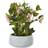 Hill Interiors Hellebore Potted Pink One Size Artificial Plant